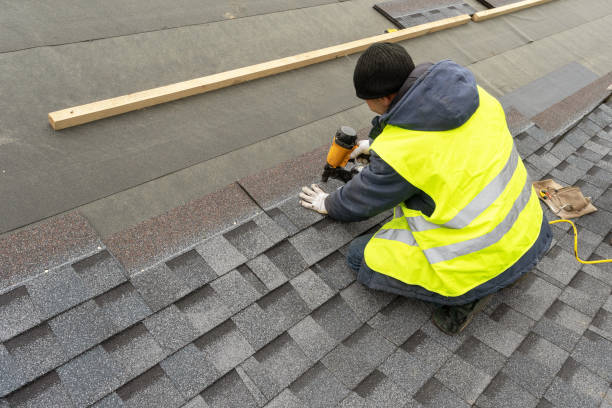Best Metal Roofing Contractor  in Venetian Vlage, IL