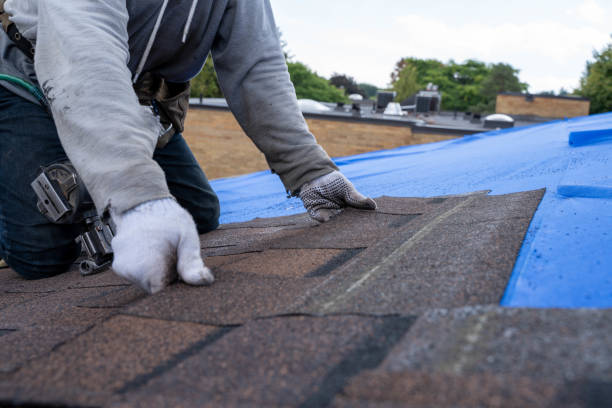 Best Storm Damage Roof Repair  in Venetian Vlage, IL
