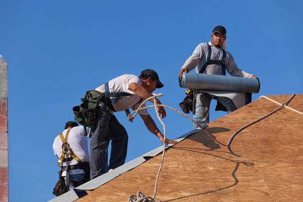 Best New Roof Installation  in Venetian Vlage, IL