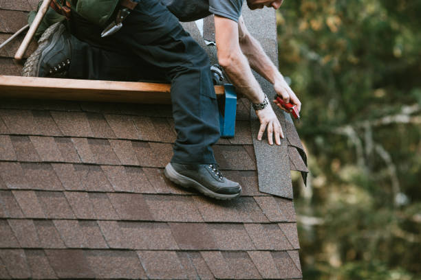 Best Roof Maintenance Services  in Venetian Vlage, IL